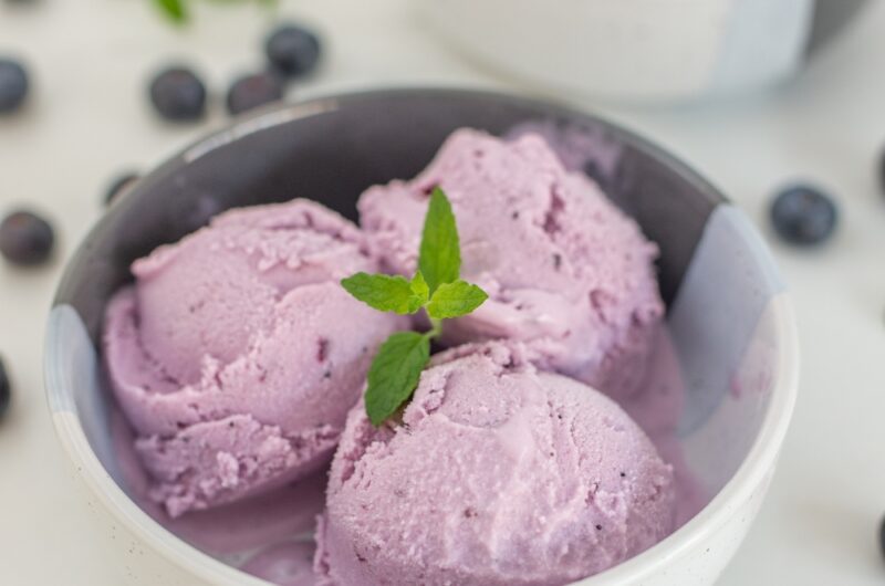 Giada De Laurentiis Blueberry Frozen Yogurt