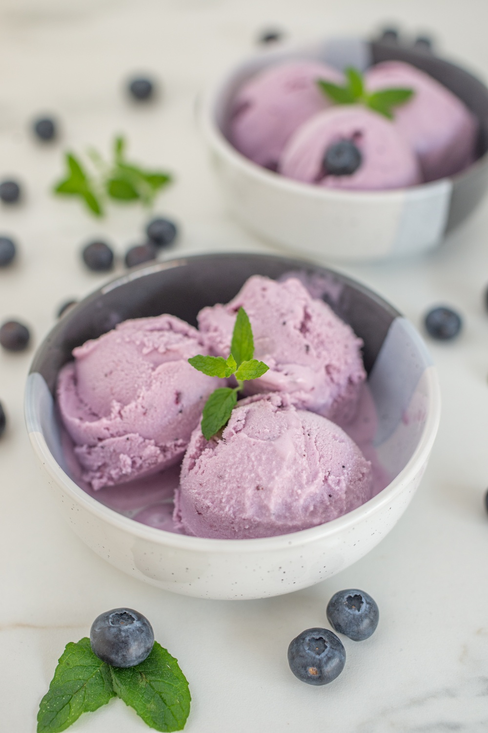 Giada De Laurentiis Blueberry Frozen Yogurt