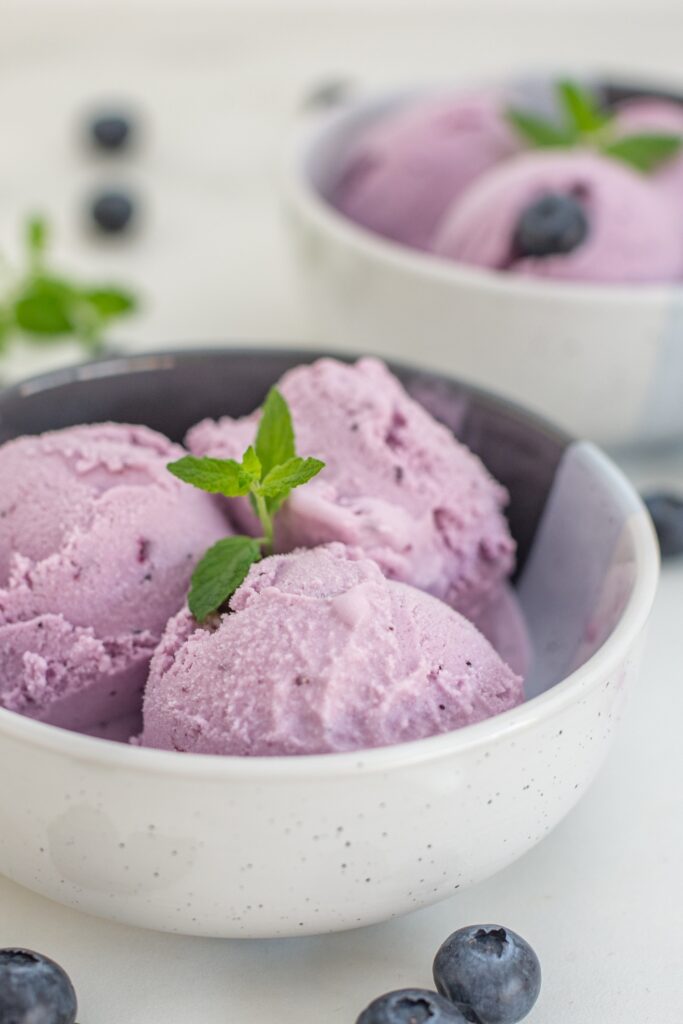 Blueberry frozen yogurt in a white bowl with a mint leaf garnish.