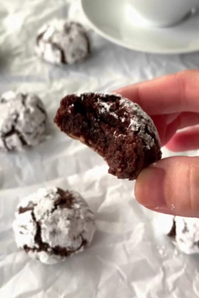 A hand holding a Giada De Laurentiis chocolate amaretti cookie with a bite taken, dusted with powdered sugar.