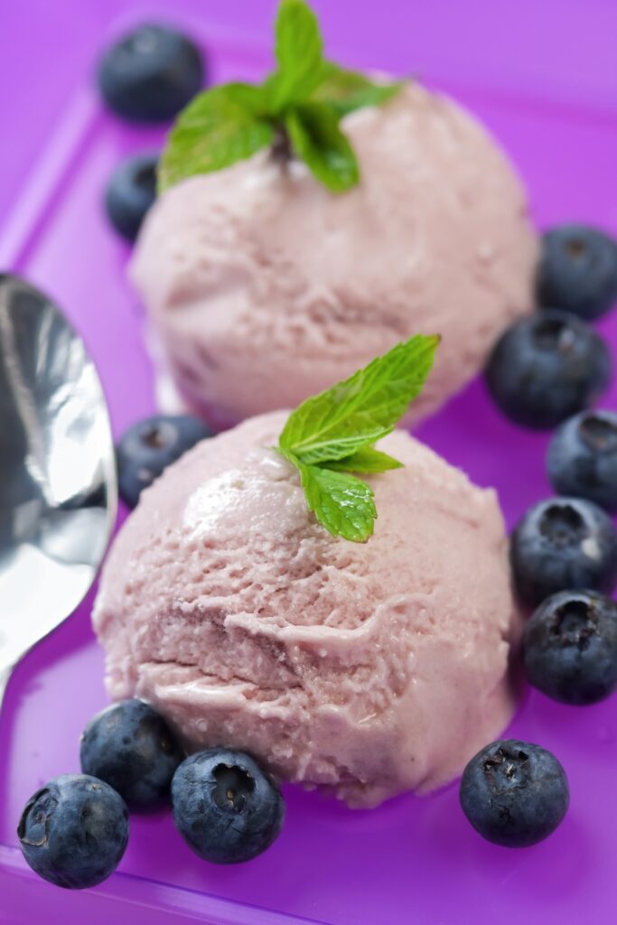 Two scoops of blueberry frozen yogurt on a purple plate with blueberries and mint leaves.