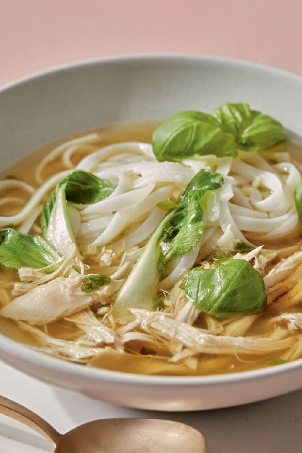 Giada Sesame Chicken Noodle Soup