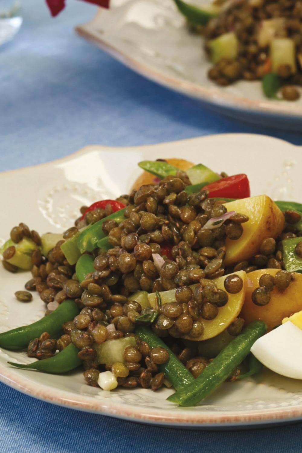 Giada Lentil Salade Niçoise