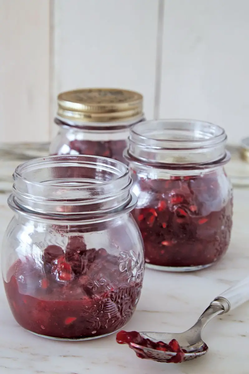 Giada Cranberry-Pomegranate Chutney